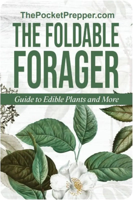 Foldable Forager: The Tiny Foraging Survival Guide